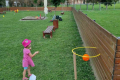 IMG-5c1c16a0c047c32e9c47e0f4ca37b684-V