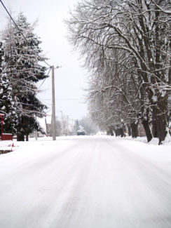 Špišić Bukovica - Vinogradska ulica - zima 2008.