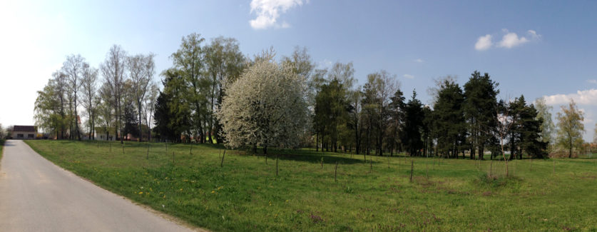 Špišić Bukovica - park Ćimen - proljeće 2013.