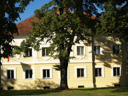 Špišić Bukovica - Dvorac kurija Špišić - jesen 2008.