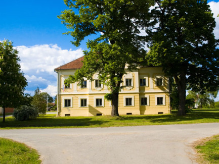 Špišić Bukovica - Dvorac kurija Špišić - jesen 2008.