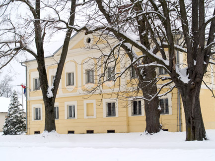 Špišić Bukovica - Dvorac kurija Špišić - zima 2008.