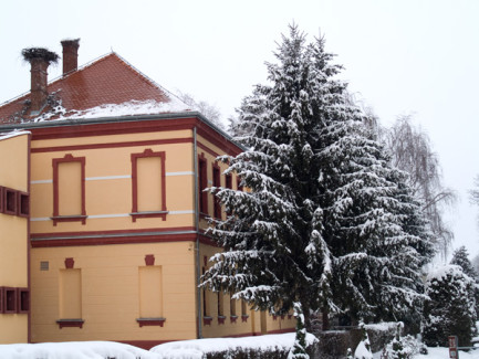 Špišić Bukovica - Osnovna škola August Cesarec - zima 2008.