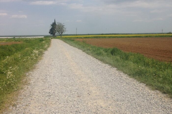 IMG_6321_Fotor-Custom (Custom)