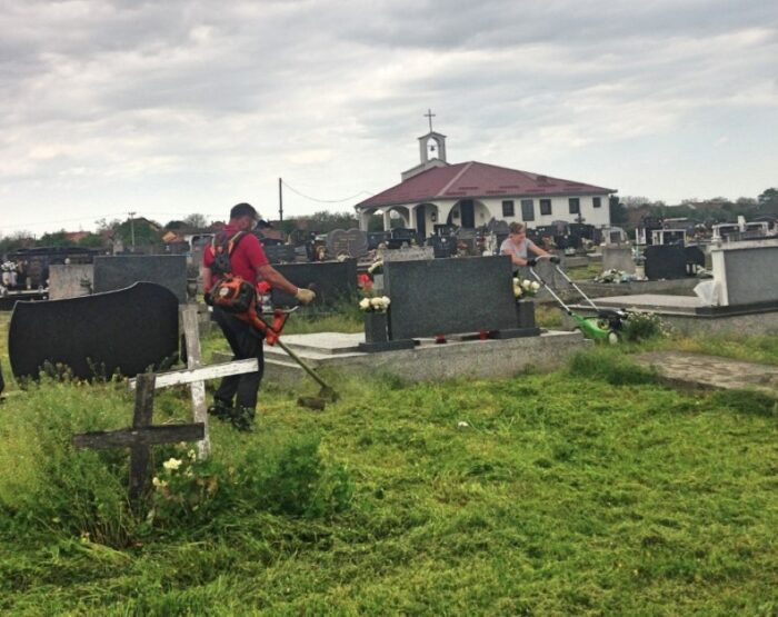 IMG_6336_Fotor-Custom (Custom)