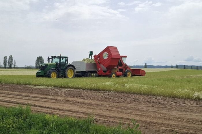 20250423_113803_1067x800