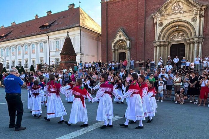 Bez-naslova-1000-x-666-piks.-2-9